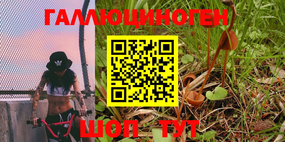Галлюциногенные грибы прущие грибы Искитим