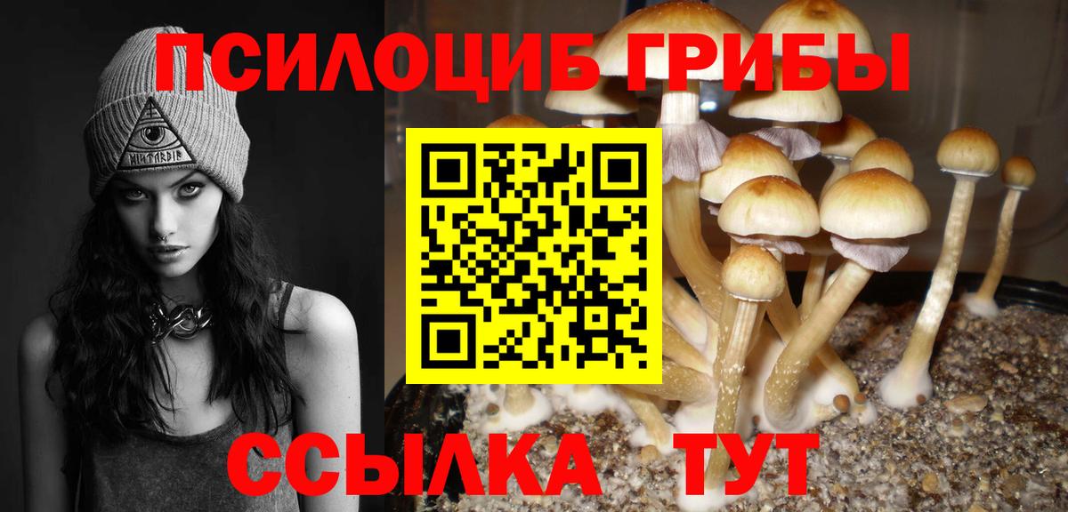 Галлюциногенные грибы Psilocybe  Вход с VPN  Искитим 